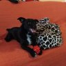 Profilbild von jose