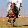 Profilbild von الخيل