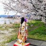少納言(SYOUNAGON)👑🌸 profil fotoğrafı