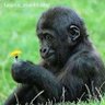 toya ston's profile picture