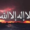 Obaida Mohammad's profile picture