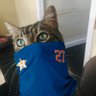 Astros Dan #TEAMROBOUMPS's profile picture