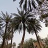 عابر 的头像