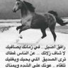 Фото профиля ibrahem