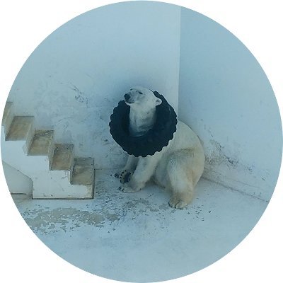 ランサー's profile picture