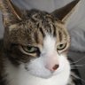 Emperor profil fotoğrafı