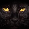 Profilbild von Piku