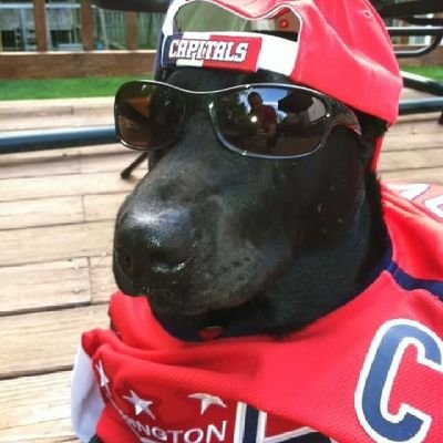 dmddusseau's profile picture