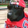 Фото профиля LoyalCaps 🇺🇸🏒🥅