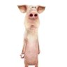 Tondern's profile picture