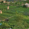 Фото профиля بكيل الحريري