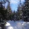 Фото профиля Northern Sojourner