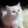 진현 profil fotoğrafı
