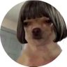 OptimusPrime62's profile picture