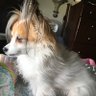 ❤️It is me, Olive!❤️'s profile picture