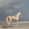 Profilbild von TheOracle