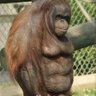SeasickPosh's profile picture