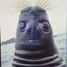 Profilbild von Rick Nolte