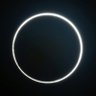 Profilbild von Light inthe Darkness