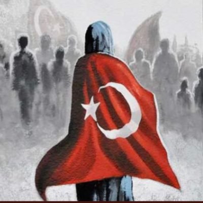 erdemnevin58's profile picture