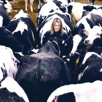 Veronica Vermeulen's profile picture