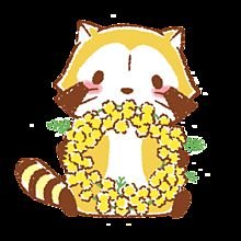 kashio4530's profile picture