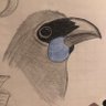 Фото профиля Wiggly Kokako