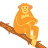 Profilbild von Saffron Chimp