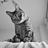 Фото профиля MJose BB