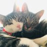 ぴーちぇ💎peache profil fotoğrafı