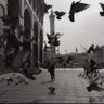 Фото профиля 🇩🇿محمد