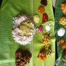 Arun Kumar's profile picture