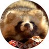 Profilbild von がも吉