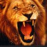 asadعلى حمير بني صهيون profil fotoğrafı