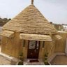 CaliSenSufi 🇺🇸🇸🇳 的头像