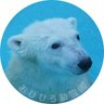 miyabi profil fotoğrafı