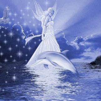 dolphin_angels's profile picture