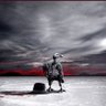 Фото профиля meshal