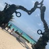 Amante de la Vida!!! profil fotoğrafı