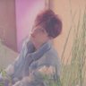 Profilbild von sunny⁷ ☀︎︎