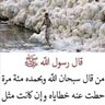Фото профиля mhamad saleh