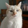 Profilbild von Vero Smarties