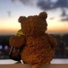 Wzzzzq's profile picture