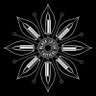 Profilbild von BLACKLOTUSTACTICAL