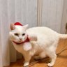 めいちゃん profil fotoğrafı