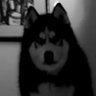 Profilbild von kacang tojin