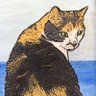 BeachCat 🦅🍊🇺🇸 profil fotoğrafı