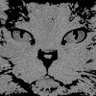 Profilbild von Nicolai