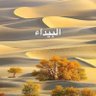 أبو بيداء العنزي's profile picture
