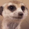 Profilbild von Copckid